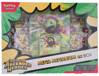 Pokémon Mega Evolution Ascended Heroes: Mega Meganium ex Box